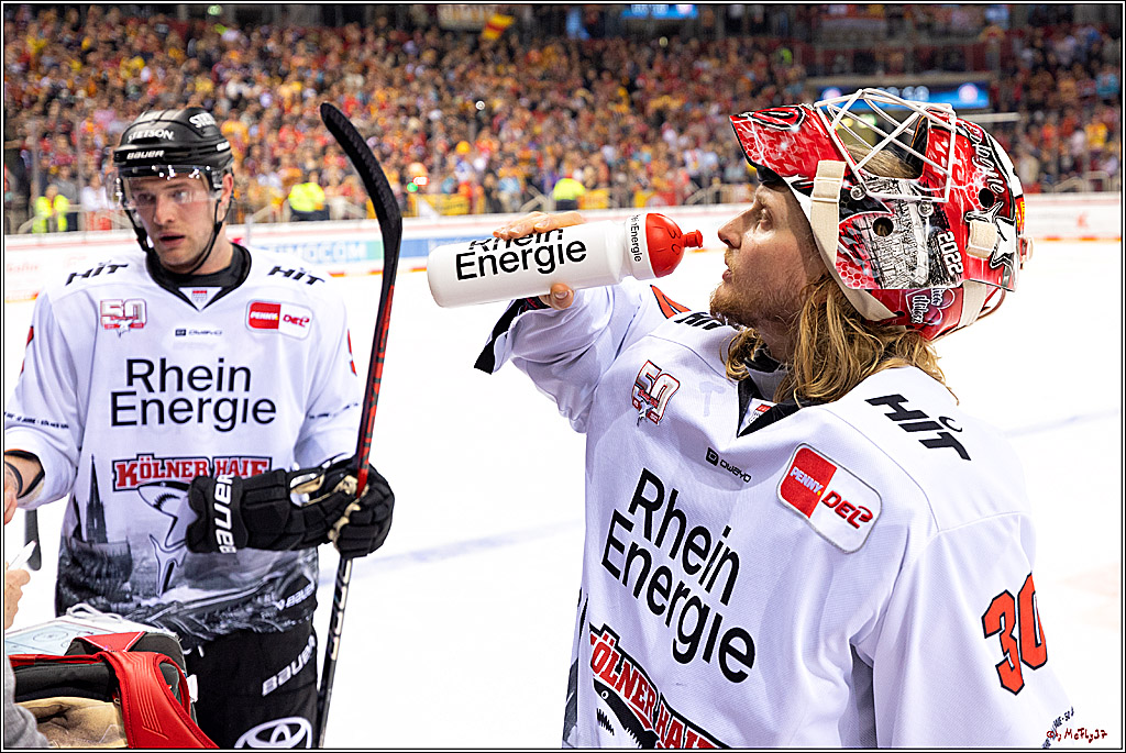 PENNY DEL;  Düsseldorfer EG - Kölner Haie; Düsseldorf, 28.10.2022